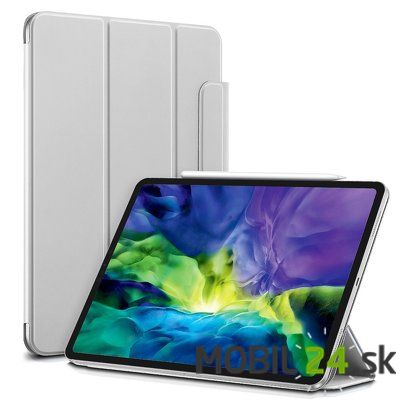 Puzdro iPad Pro 11" 2018 / 2020 strieborné